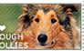 I love Rough Collies