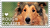 I love Rough Collies by WishmasterAlchemist