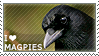 I love Magpies