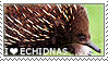 I love Echidnas by WishmasterAlchemist