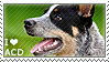 I love Australian Cattle Dogs by WishmasterAlchemist