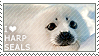 I love Harp Seals