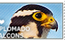 I love Aplomado Falcons