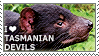 I love Tasmanian Devils by WishmasterAlchemist