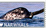 I love Narwhals