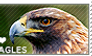 I love Eagles