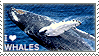 I love Whales