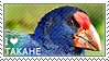 I love Takahe