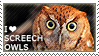 I love Screech Owls