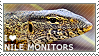 I love Nile Monitors by WishmasterAlchemist