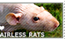 I love Hairless Rats