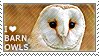 I love Barn Owls