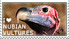 I love Nubian Vultures