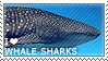 I love Whale Sharks by WishmasterAlchemist