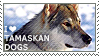 I love Tamaskan Dogs by WishmasterAlchemist
