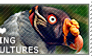 I love King Vultures