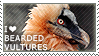 I love Bearded Vultures by WishmasterAlchemist