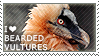 I love Bearded Vultures
