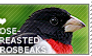 I love Rose-breasted Grosbeaks