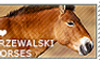 I love Przewalski's Horses