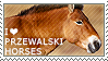 I love Przewalski's Horses