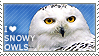 I love Snowy Owls by WishmasterAlchemist