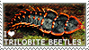 I love Trilobite Beetles