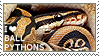 I love Ball Pythons by WishmasterAlchemist on DeviantArt