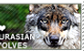 I love Eurasian Wolves