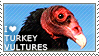 I love Turkey Vultures