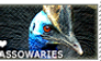 I love Cassowaries