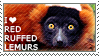 I love Red Ruffed Lemurs