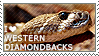 I love Western Diamondback Rattlesnakes