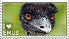 I love Emus
