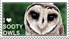 I love Sooty Owls by WishmasterAlchemist