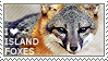 I love Island Foxes by WishmasterAlchemist
