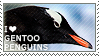 I love Gentoo Penguins