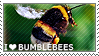 I love Bumblebees