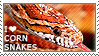 I love Corn Snakes by WishmasterAlchemist