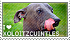 I love Xoloitzcuintles