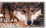 I love Mexican Wolves