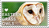 i_love_eastern_grass_owls_by_wishmastera