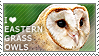 I love Eastern Grass Owls