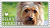 I love Silky Terriers by WishmasterAlchemist