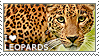 I love Leopards by WishmasterAlchemist