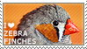 I love Zebra Finches by WishmasterAlchemist