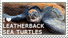 I love Leatherback Sea Turtles