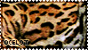 [AP XI] Ocelot by WishmasterAlchemist