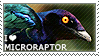 I love Microraptor