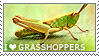 I love Grasshoppers by WishmasterAlchemist